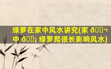 绿萝在家中风水讲究(家 🐬 中 🐡 绿萝爬很长影响风水)